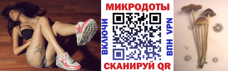 как найти наркотики Железноводск Псилоцибиновые грибы Psilocybine cubensis