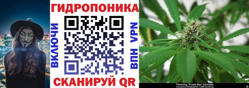 Бошки марихуана сатива Железноводск